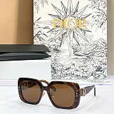 Dior Oblique S1F Light Gray and Deep Gray Square Sunglasses