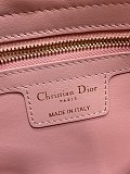 Dior Cigale Bag in Pink