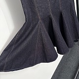 Topstitched Denim Dress