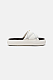 Icon Slides