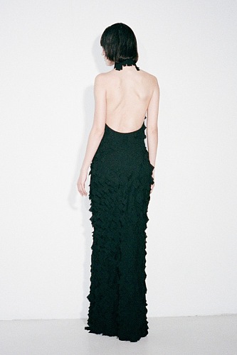 Floor-length  Swan Dress