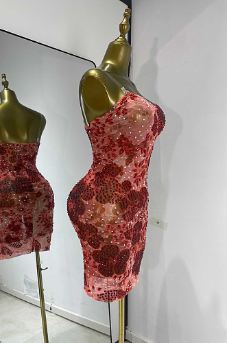 Lace Embroidery Mini Dress