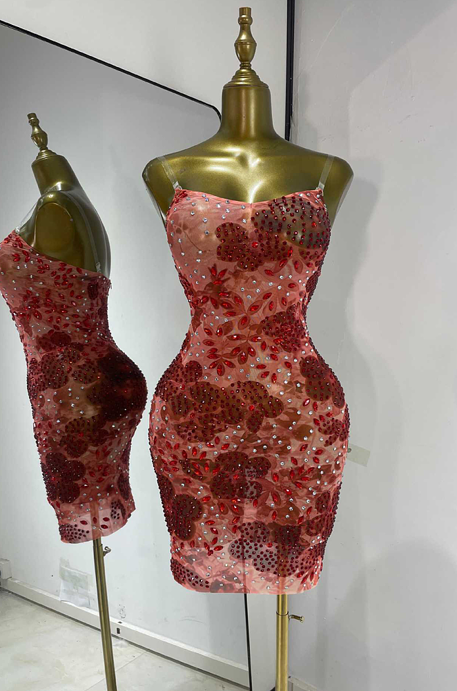 Lace Embroidery Mini Dress
