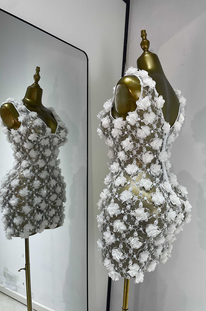 Pearl & Flower Plunging Neck Sheer Mini Dress