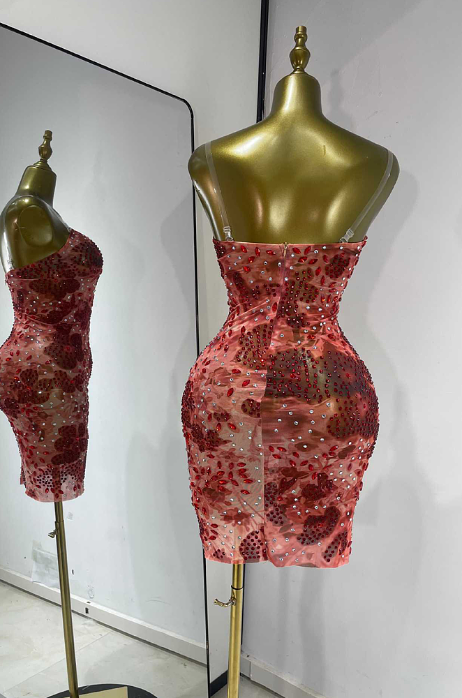 Lace Embroidery Mini Dress