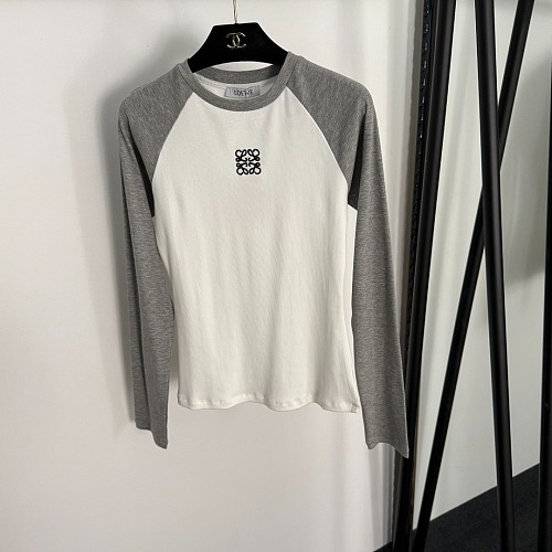 Colorblocked Embroidered Letter Graphic Long Sleeve Cotton Tee