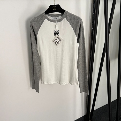Colorblocked Embroidered Letter Graphic Long Sleeve Cotton Tee
