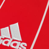 2015/16 Wales Home Red Retro Soccer Jersey