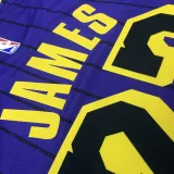 2018 LA Lakers JAMES # 23 Purple Stripe Limited Edition NBA Jerseys Hot Pressed