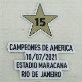 15 CAMPEONES 15