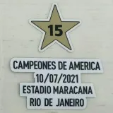 15 CAMPEONES 15
