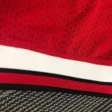 PIPPEN # 33 Bulls Red Mitchell Ness Retro Jerseys