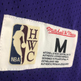 JOHNSON # 32 Lakers Purple Mitchell Ness Retro Jerseys