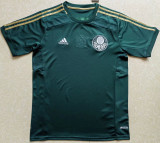 2014/15 Palmeiras Home Centenary Green Retro Jersey