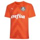 2022/23 Palmeiras Orange GK Soccer Jersey