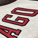 Bulls LAVINE #8 White City Edition NBA Jerseys