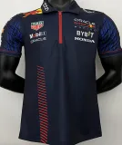2023/24 Red Bull Racing Black F1 Team POLO T-Shirt (有领 拉链)