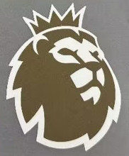 2023/24 Premier League Rubber Gold Patch 新 英超胶章  (You can buy it Or tell me to print it on the Jersey )