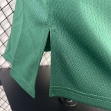 2023/24 Celtics  PORAIGIS #8 Green NBA Jerseys 热压