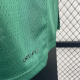 2023/24 Celtics  PORAIGIS #8 Green NBA Jerseys 热压