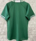 2023 Irish IRFU  RUGBY WORLD CUP Home Green Rugby Jersey  Ireland爱尔兰