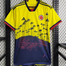 2023/24 Colombia Yellow Special Edition Fans Jersey