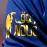 2023/24 Al Nassr Away Fans Soccer Jersey