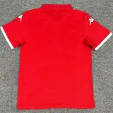 2024 Tunisia Home Red Fans Soccer Jersey 突尼斯