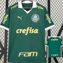 2024/25 Palmeiras 1:1 Quality Home Fans Jersey  (All Sponsor 全广告)