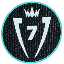 CONCACAF Champions Cup 7 Patch 7字杯 美冠杯臂章 (You can buy it Or tell me to print it on the Jersey )