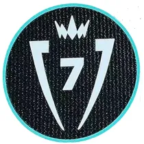 CONCACAF Champions Cup 7 Patch 7字杯 美冠杯臂章 (You can buy it Or tell me to print it on the Jersey )