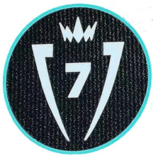 CONCACAF Champions Cup 7 Patch 7字杯 美冠杯臂章 (You can buy it Or tell me to print it on the Jersey )