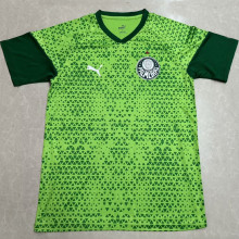2024/25 Palmeiras Green Training Jersey