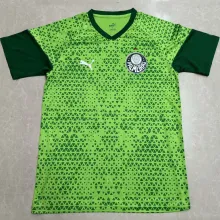2024/25 Palmeiras Green Training Jersey