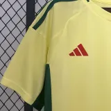 2024/25 Wales Away Yellow Fans Soccer Jersey