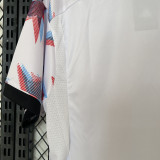 2024 Japan Special Edition Fans Soccer Jersey