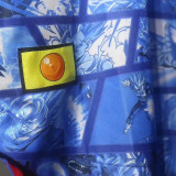 2024 Japan Dragon Ball Blue Player Version Jersey
