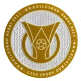 BRASILEIRAO ASSAI 2024 Flocking