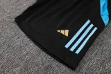 2024/25 Argentina Grey Vest Training Jersey(A Set)
