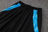 2024/25 Argentina Grey Vest Training Jersey(A Set)