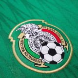 2010 Mexico Home Green Retro Soccer Jersey