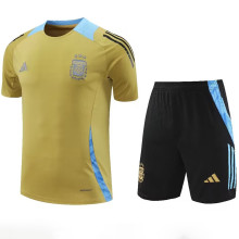 2024/25 Argentina Khaki Training Tracksuit