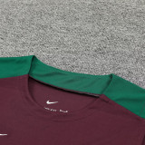 2024/25 PSG Wine Red Vest Training Jersey(A Set)