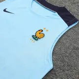 2024/25 France Light Blue Vest Training Jersey(A Set)