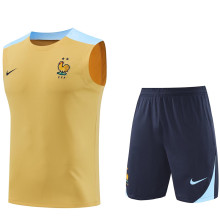 2024/25 France Khaki Vest Training Jersey(A Set)
