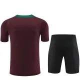 2024/25 PSG Wine Red Training Tracksuit