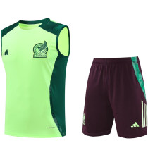 2025 Mexico Light Green Vest Training Jersey(A Set)