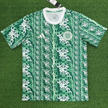2024/25 Celtic Green Training Jersey