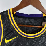 2025 Lakers JAMES JR. #9 Black NBA Jerseys 热压