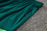 2024/25 Palmeiras Green Training Tracksuit